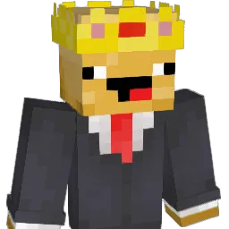potatonator93 Minecraft avatar bust
