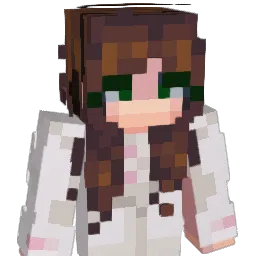 poulover427 Minecraft avatar bust