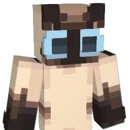 pp_pppp_ Minecraft avatar bust