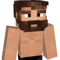 ppalomaa Minecraft avatar bust