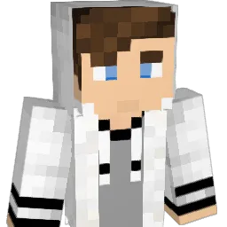 ppetgamer_ Minecraft avatar bust