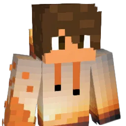 ppflash
