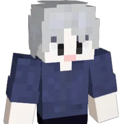 ppmpi_ Minecraft avatar bust