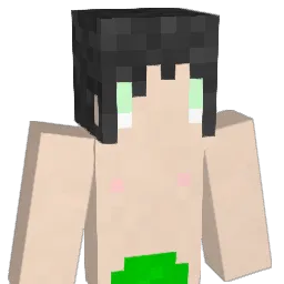 pqghb Minecraft avatar bust