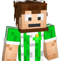 pr67u Minecraft avatar bust