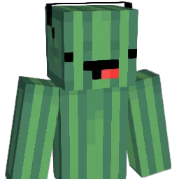 premulda14 Minecraft avatar bust