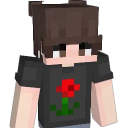 prettyvisitorss Minecraft avatar bust