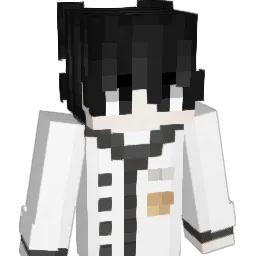 preyfuls Minecraft avatar bust