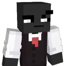 pripasse Minecraft avatar bust