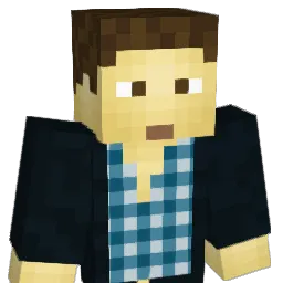 privetpokam Minecraft avatar bust