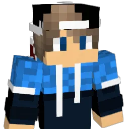 pro_limit Minecraft avatar bust