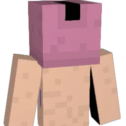 probablelizzard's Minecraft skin