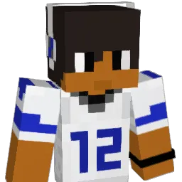 probas Minecraft avatar bust