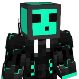 probin00 Minecraft avatar bust