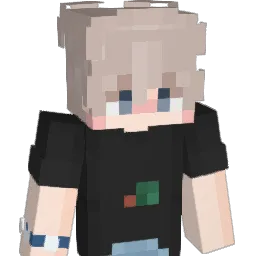 problemliyim Minecraft avatar bust