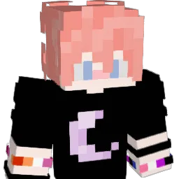 prokte Minecraft avatar bust