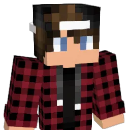 psett Minecraft avatar bust