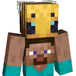 psgamingpl01 Minecraft avatar bust