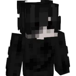 pslna Minecraft avatar bust