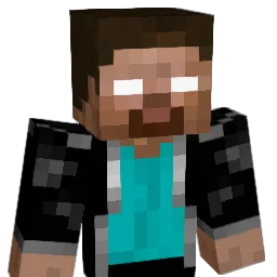 psw156 Minecraft avatar bust