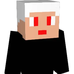 pts417 Minecraft avatar bust