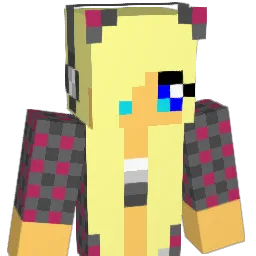 ptw419 Minecraft avatar bust