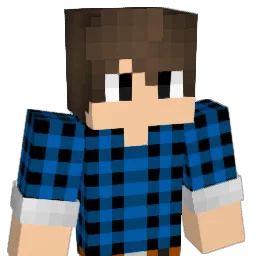 public_void Minecraft avatar bust
