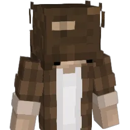 pudjl Minecraft avatar bust