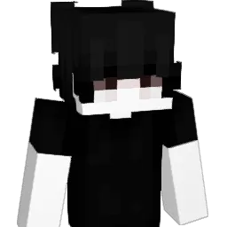 puej Minecraft avatar bust