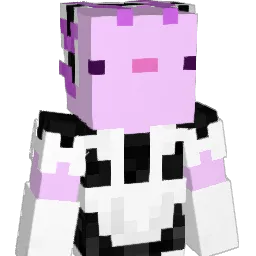 punbbe's Minecraft skin