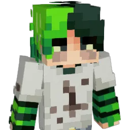 punkkitsune's Minecraft skin