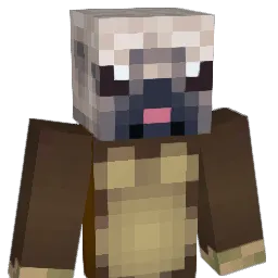 puppymonkeybb Minecraft avatar bust