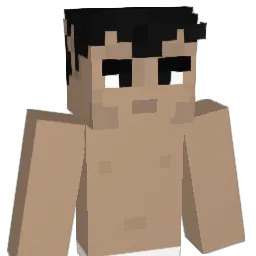 purely50 Minecraft avatar bust