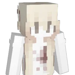 pusheen17250 Minecraft avatar bust