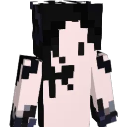 pvtpat