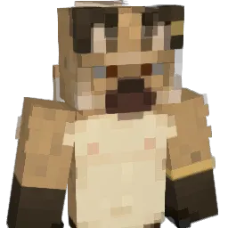 pynb's Minecraft skin