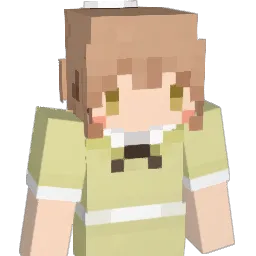 pyocoppy Minecraft avatar bust