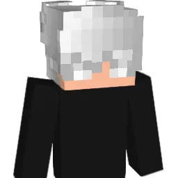 python297 Minecraft avatar bust