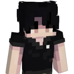 pz29 Minecraft avatar bust