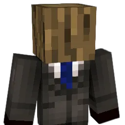 q888p Minecraft avatar bust