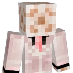 q93x Minecraft avatar bust
