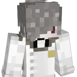 q_q_p_p Minecraft avatar bust