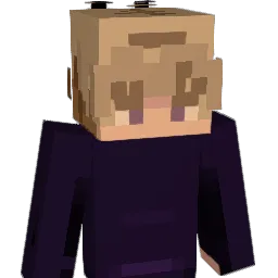 qag10 Minecraft avatar bust