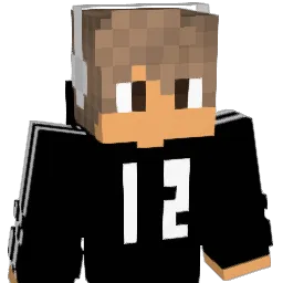 qazplmivan Minecraft avatar bust