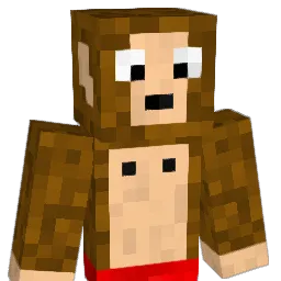 qfsurfmonkey's Minecraft skin
