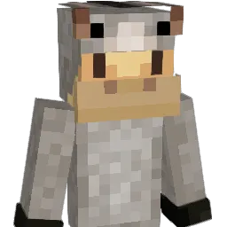 qiise Minecraft avatar bust