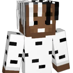 ql0_'s Minecraft skin