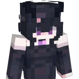 ql2333's Minecraft skin