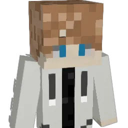 qlwjs10skr Minecraft avatar bust