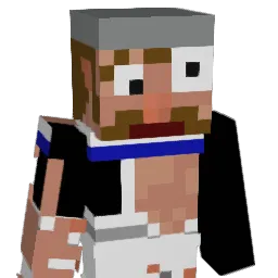 qmx79 Minecraft avatar bust